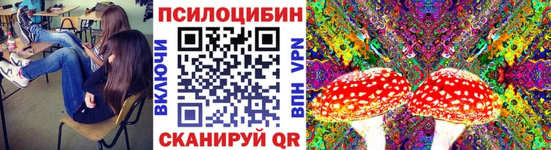 где можно купить наркотик  Бронницы  Галлюциногенные грибы Psilocybe 